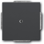 Busch-Jaeger 1710-0-3614. Produktfarbe: Anthrazit, Markenkompatibilität: Universal, Design: konventionell. Breite: 63 mm, Höhe: 63 mm, Dicke: 1,4 cm (1710-0-3614)