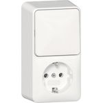 GIRA Steckdose SCHUKO 417613 Kombi AusWe senk.AP RW (417613)