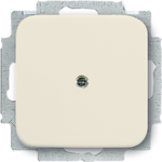 BUSCH-JAEGER Blindabdeckung 2538-212 Duro 2000 SI Tragring weiss 2538-212 (1715-0-0218)