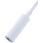 Xiaomi Original Adapter (SJV4091TY)