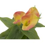 EUROPALMS Calla mini, Kunstpflanze, gelb orange, 43cm (82540346)