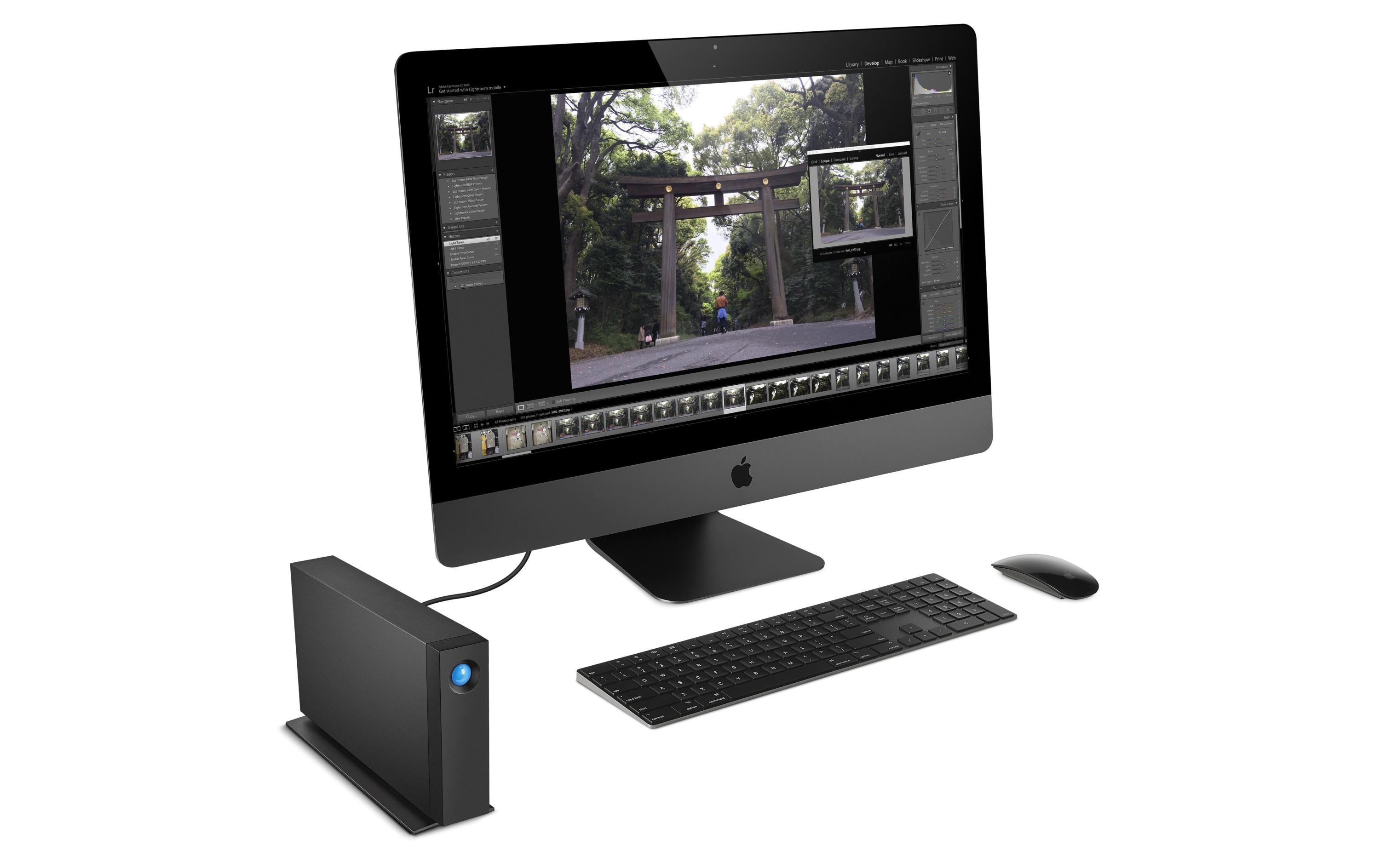 LaCie d2 Professional STHA10000800 10 TB 3,5" Schwarz