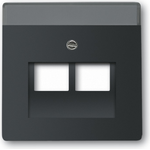 Busch Jaeger 1710-0-3911 Wandplatte/Schalterabdeckung Schwarz (1710-0-3911)