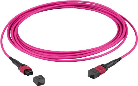 EFB-Elektronik MTP¬-F/MTP¬-F 48-Fasermatrix Patchkabel OM4, LSZH erika-violett, Code A, 20m Hersteller: EFB Elektronik (MTPF48MTPFOM4-20-A)