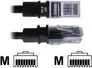 PatchSee BasicPatch (F/4)