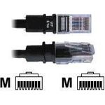 PatchSee BasicPatch (F/4)