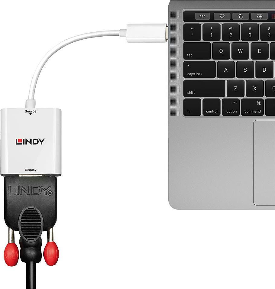 Lindy Videoadapter 24 pin USB-C (M) zu HD-15 (VGA) (M) schraubbar (43355)