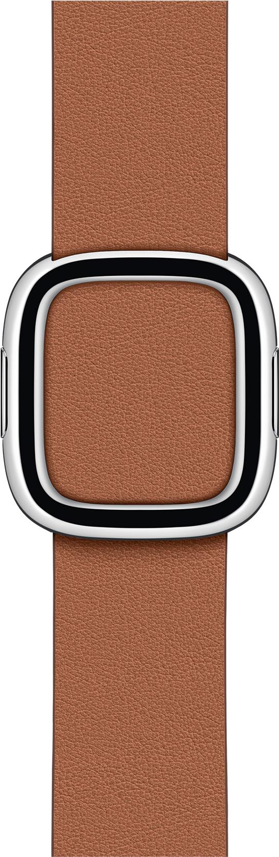 Apple 40mm Modern Buckle (MWRD2ZM/A)