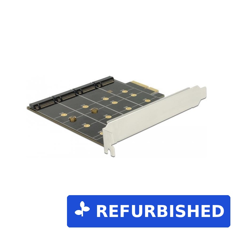 DeLOCK Speichercontroller (RAID) (89888)