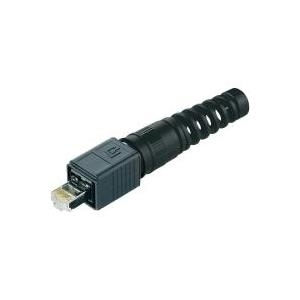 Telegärtner RJ45-Steckerset Variante 4 Stecker, gerade Pole: 8P8C J80026A0014 Schwarz J80026A0014 1 St. (J80026A0014)