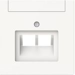 BJ Zentralscheibe 2-fach UAE 1803-02-44M m.Beschriftungsfeld Busch-art linear 1 (2CKA001710A4228)