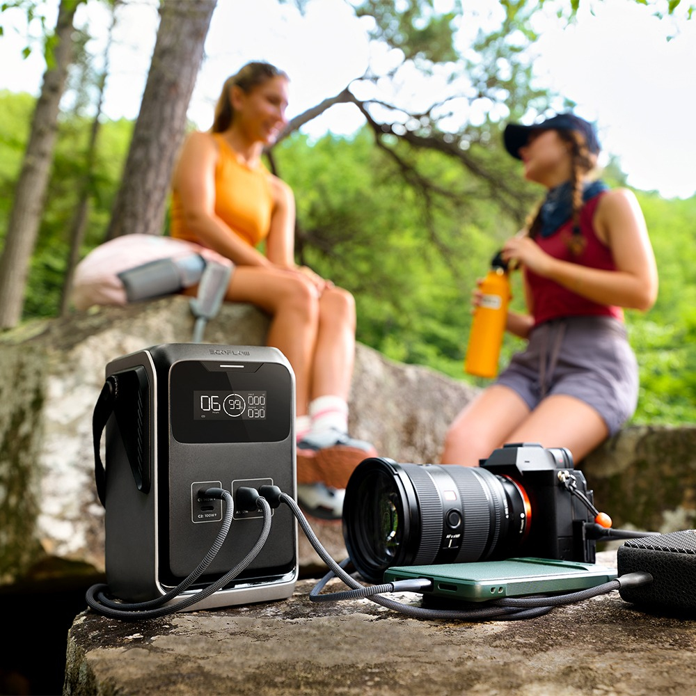 EcoFlow TRAIL 200 DC Portable Power Station 198 Wh 220 W Schwarz, Grau