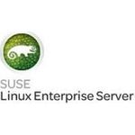 Lenovo SUSE Linux Enterprise Server 1 Virtual - Suse Linux (7S0G00HPWW)