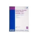 Epson Premium Glossy Photo Paper (C13S042091)