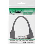 INLINE DisplayPort-Adapter (17159R)
