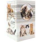 HERMA Stifteköcher Katzen Stiftehalter (19733)