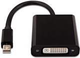 V7 Videoadapter Mini DisplayPort (M) zu DVI-D (W) (CBL-MD1BLK-5E)