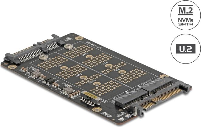 Delock Konverter M.2 Key M NVMe SSD> U.2 u M.2 Key B SATA (64354)