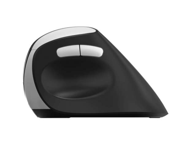 Rapoo EV250 Kabellose Maus RF Wireless Optisch 1600 DPI Schwarz, Silber
