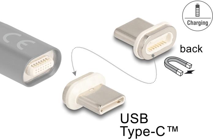 Delock Magnetischer Adapter USB Type-C Stecker (66588)