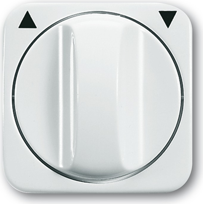 Busch Jaeger 1753-0-2264 Wandplatte/Schalterabdeckung Weiß (1753-0-2264)