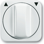 Busch Jaeger 1753-0-2264 Wandplatte/Schalterabdeckung Weiß (1753-0-2264)