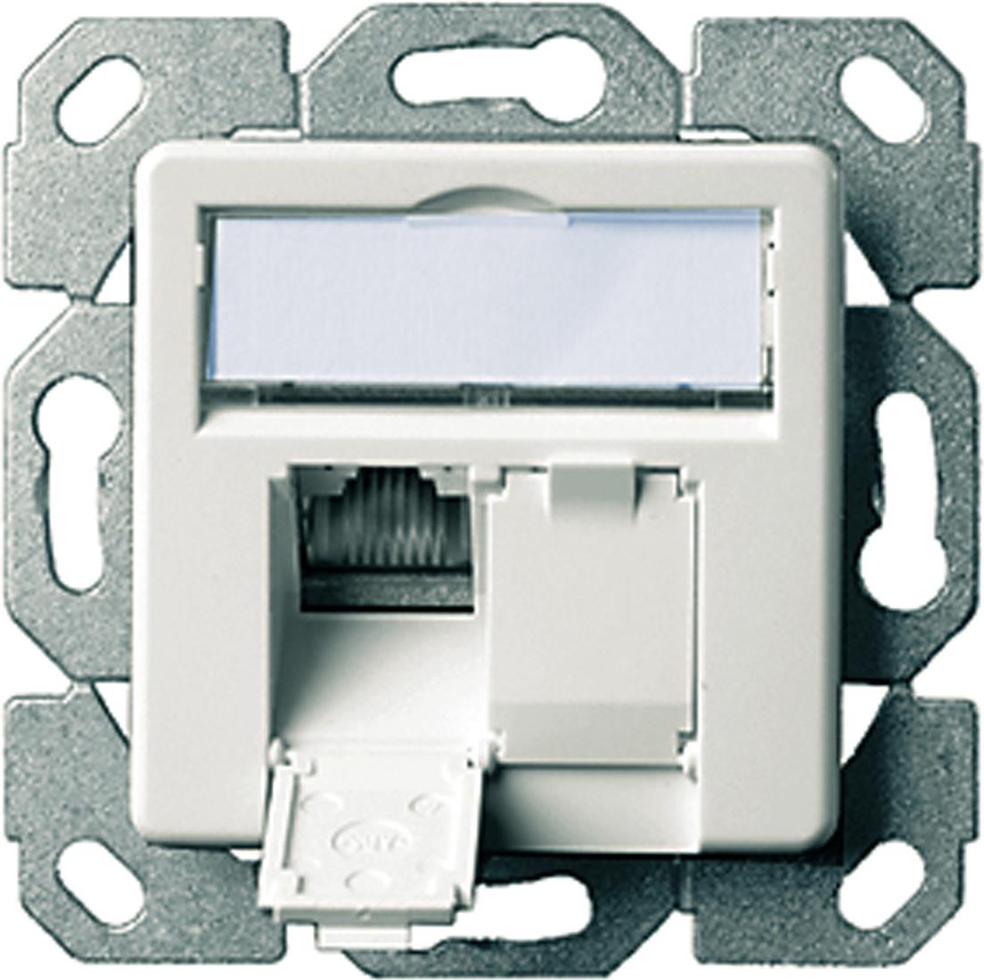 Telegärtner AMJ45 J00020A0389 Netzwerkdose Cat.5e 2x RJ45 Alpine White