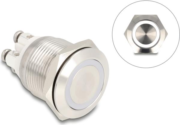 Delock Drucktaster zum Einbau 19 mm 4 x Schraubklemme LED weiß (20977)
