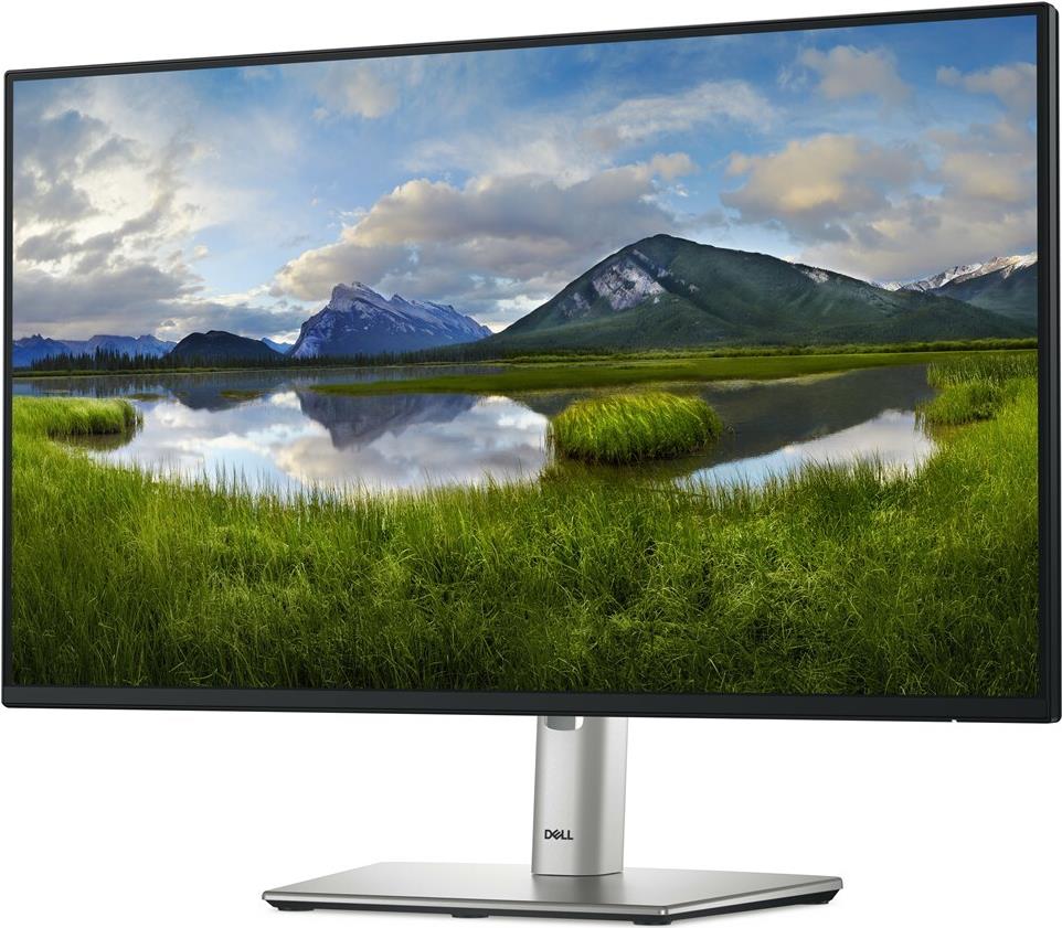 DELL P2425H LED-Monitor 61 cm 24