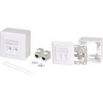 LogiLink Anschlussdose Kat.6A, 2x RJ45, weiß, geschirmt (ähnlich RAL9003), für Unterputz-, Aufputz- & Kabelmontage, - 1 Stück (NK4068)