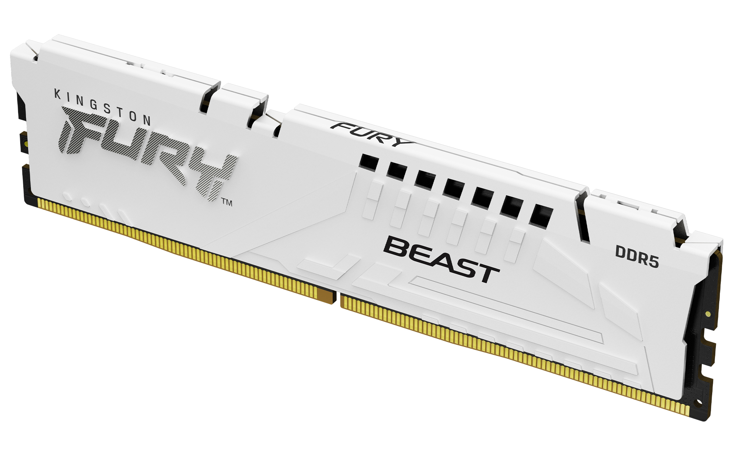 Kingston FURY Beast 32 GB RAM DDR5-6000 CL36 Kit Weiß