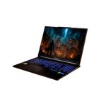 Captiva Advanced Gaming I95-043GE 16" WQXGA Core i7-14650HX RTX 5060 64GB 2TB DE (95043)