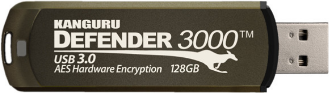 Kanguru Encrypted Defender 3000 (KDF3000-128G)