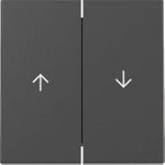 GIRA Wippe 3294005 2f Pfeil Sys.55 sw m (3294005)