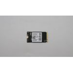Lenovo Samsung PM991A 256GB MZALQ256HBJD-00BL2 M.2 PCIe 2242 (5SS0Z86692)
