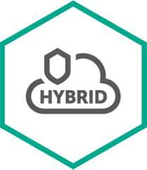Kaspersky Hybrid Cloud Security Desktop (KL4155XANTP)