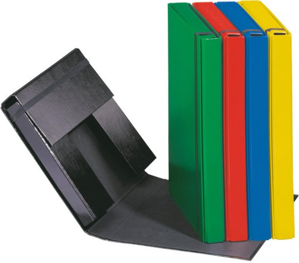 Pagna Basic Colours Heftbox 21309-05 A4 Grün