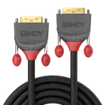 Lindy 10m DVI-D Single Link Kabel, Anthra Line DVI-D Single Link Stecker an Stecker (36240)