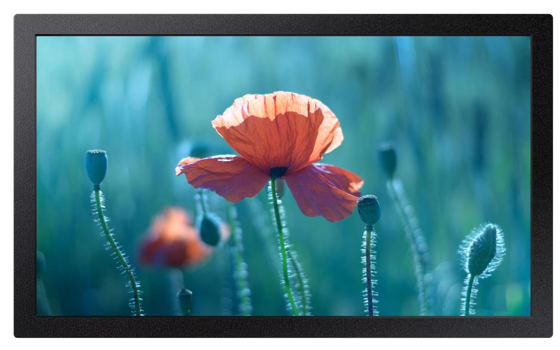 Samsung QB13C 33 cm (13") Diagonalklasse LCD-Display mit LED-Hintergrundbeleuchtung (LH13QBCEBGBXEN)