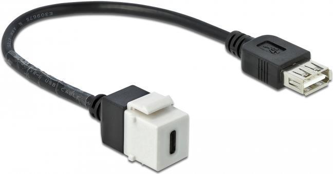 DeLOCK Keystone module Modulare Eingabe USB Typ C 86391