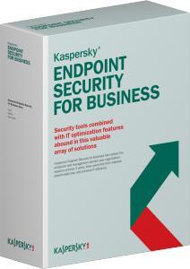 Kaspersky Endpoint Security for Business (KL4867XARDR)