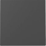 GIRA Wippe 3296005 Sys.55 sw m (3296005)