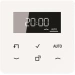 Jung CD1750DWW Timer Standard m.Display (CD1750DWW)