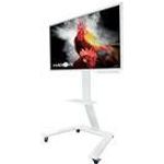 HAGOR ST SA Flip II (5788)