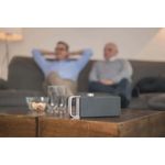 FALLER OSKAR Tragbarer Mono-Lautsprecher Schwarz - Silber 4 W (SV-1000-100-GY)