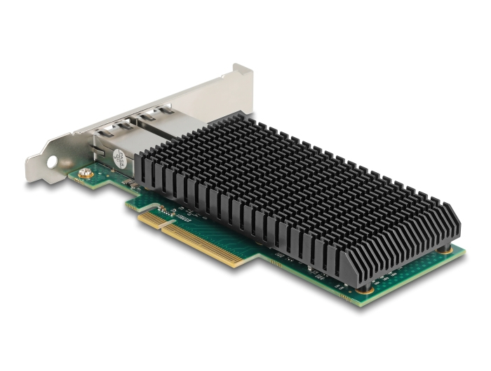 Delock Netzwerkkarte 88522 PCI Express 2.0 x8 10 GbE 2x RJ-45 Low-Profile Schwarz, Silber