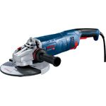 Bosch GWS 24-230 PZ (06018C3400)