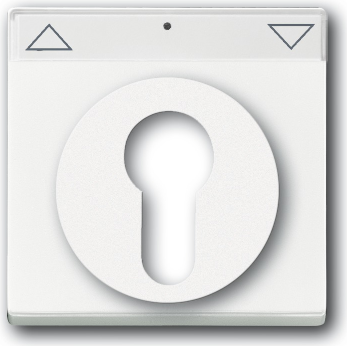 Busch Jaeger 1755SL/PZ-84-101 Wandplatte/Schalterabdeckung Weiß (1755SL/PZ-84-101)