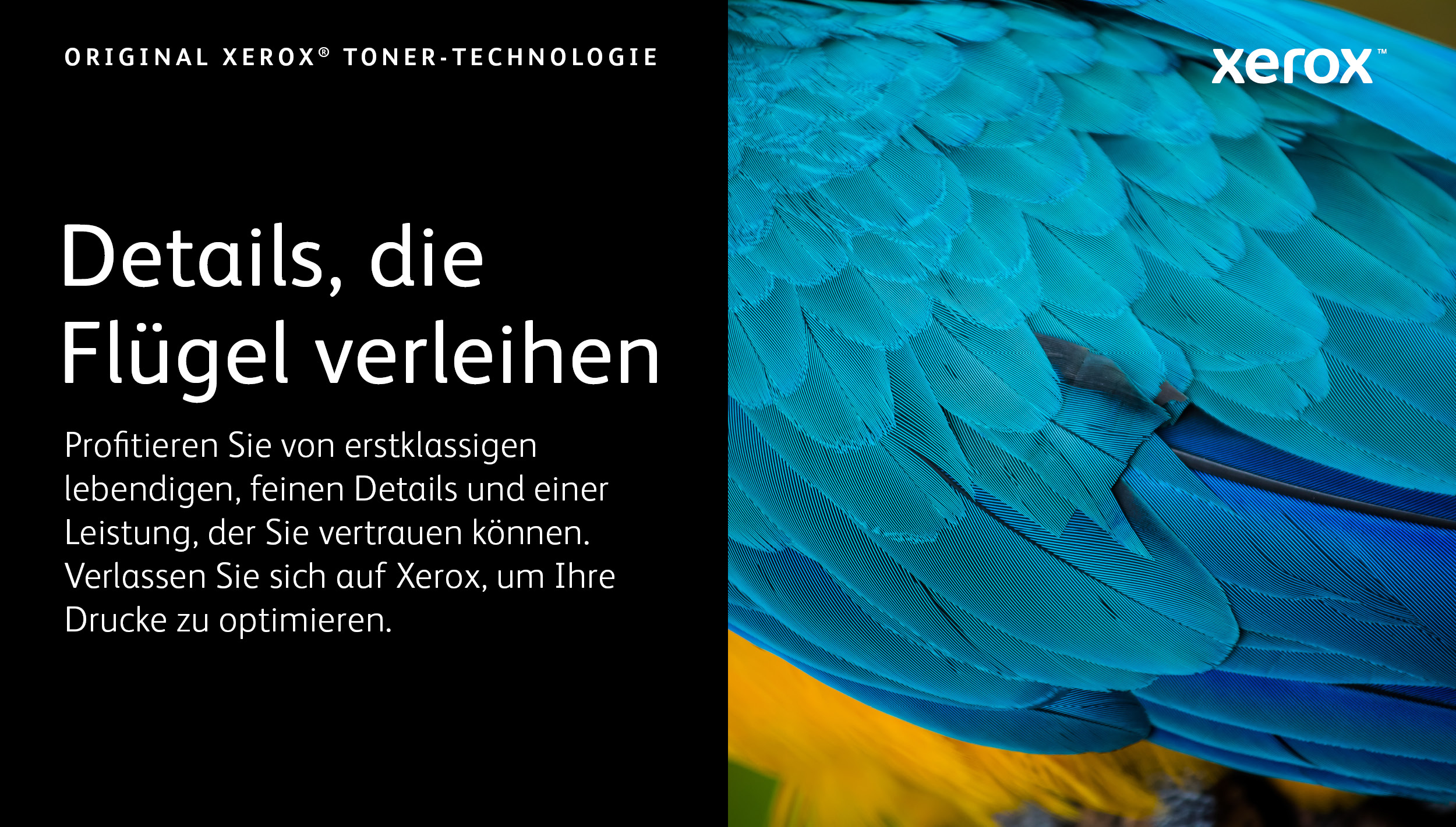 Xerox VersaLink 106R04646 Tonerpatrone Weiß