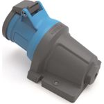 Bals 110646 Wandsteckdose INNOLINQ QC 32A 3p 230V 6h IP44 blau blank (110646)